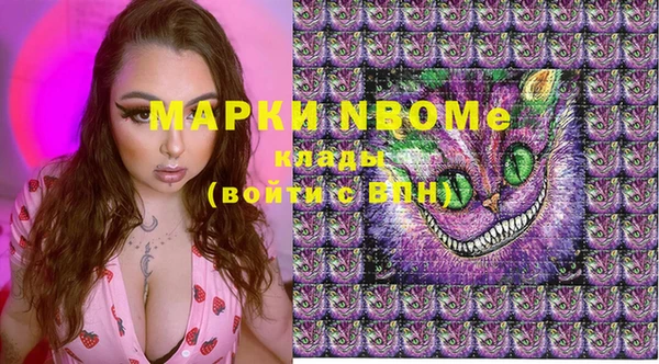 Альфа ПВП Верея