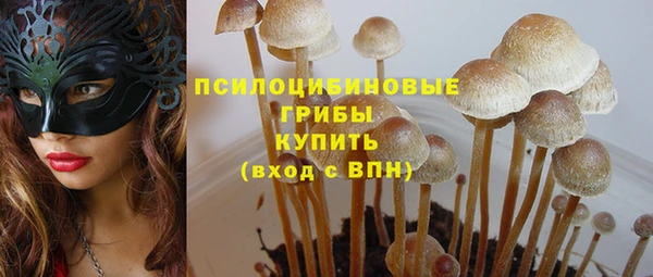 a pvp Верхний Тагил