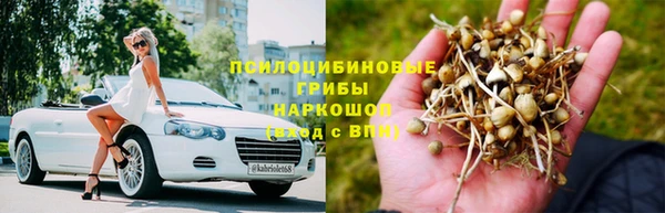 Альфа ПВП Верея