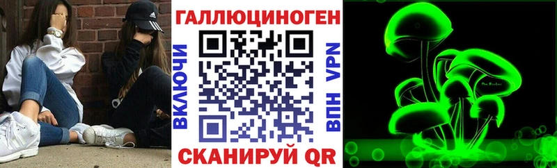Псилоцибиновые грибы Psilocybe  Купить  Железногорск 